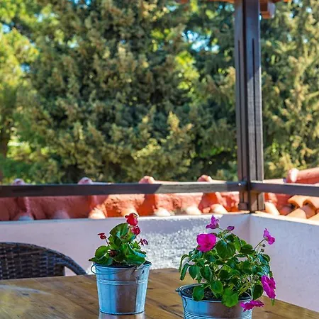 Georgalas Sun Bed & Breakfast Nea Kallikrateia